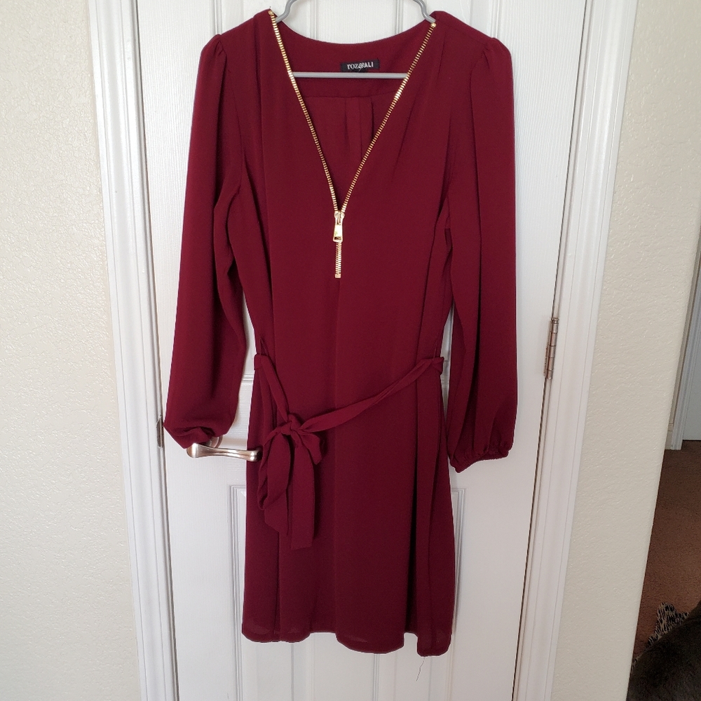 Roz & Ali Dark Red Dress